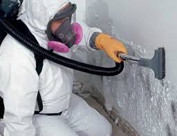 Why You Should Choose Our Mold Remediation Services in Churchill, PA